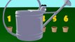 VIDS for KIDS in 3d (HD) Watering Flowers for Children, Learn Counting and Colors AApV