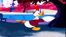 DONALD DUCK CARTOON & CHIP AND DALE CARTOON Mickey Mouse and Pluto New Animation for kids 2