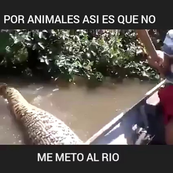 Bote choca con una Anaconda