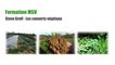 Formation Steve Groff - Couvert végétaux - part 1 - Introduction aux couverts végétaux