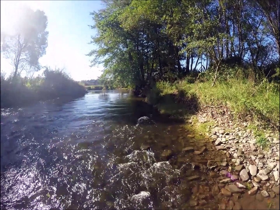 Pêche à la mouche - Villers sur lesse