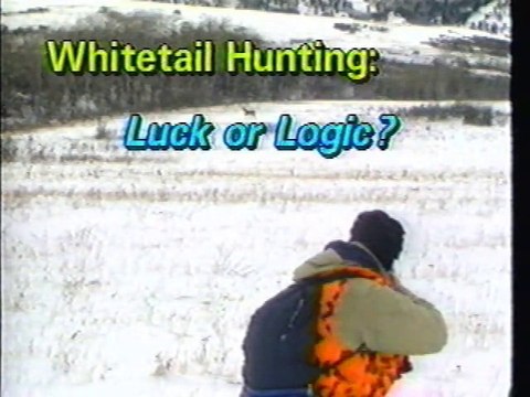 Whitetail Hunting: Luck or Logic