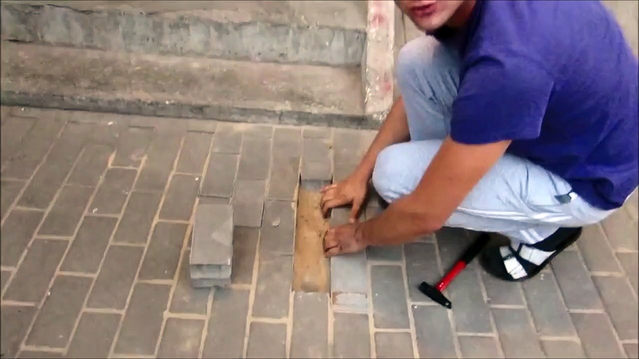 Descubren Un Perro Debajo De La Escalera
