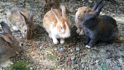 They look like a family. Sooo cute!!