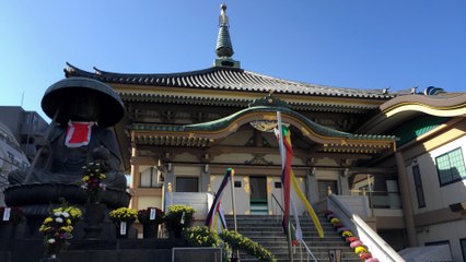 Tokyo Sugamo Kiku Matsuri