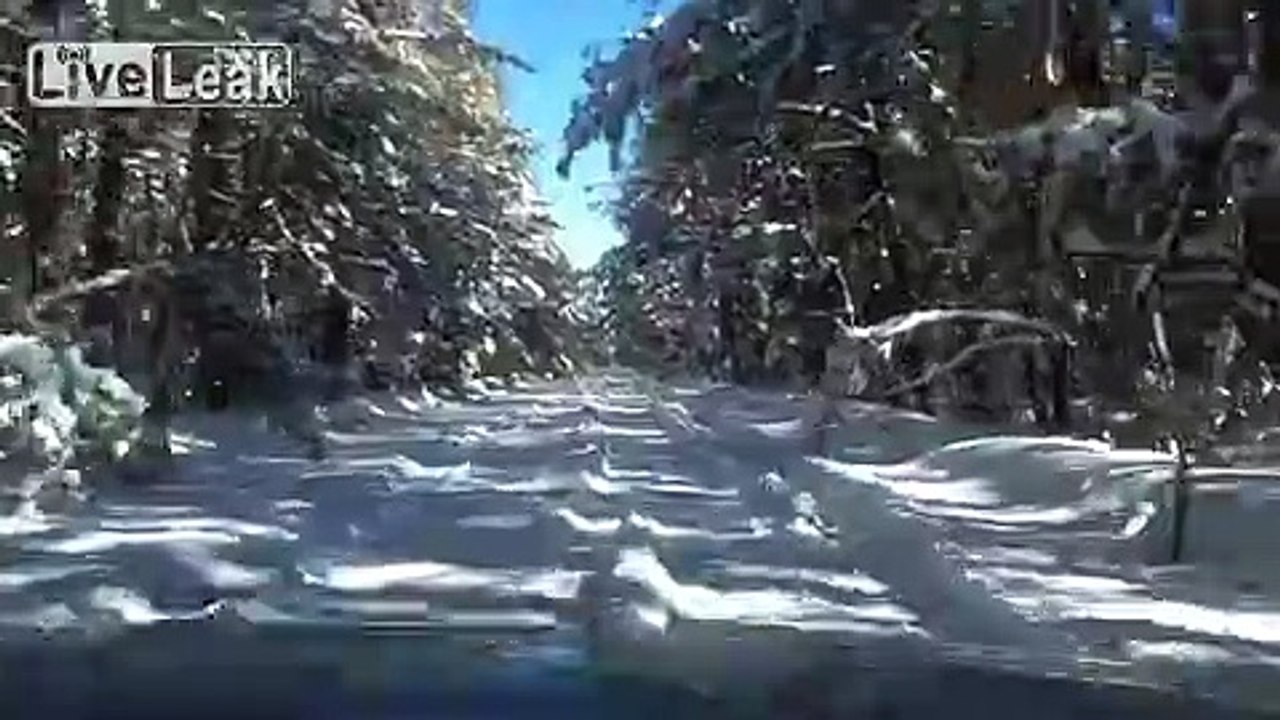 Driving Through the Snow in the Pine Barrens of South Jersey