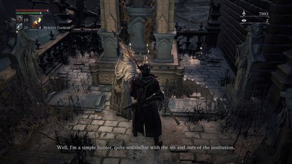 Bloodborne™story stuffs
