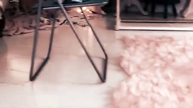 Cute mini pig is happy and camera girl cant stop laughing