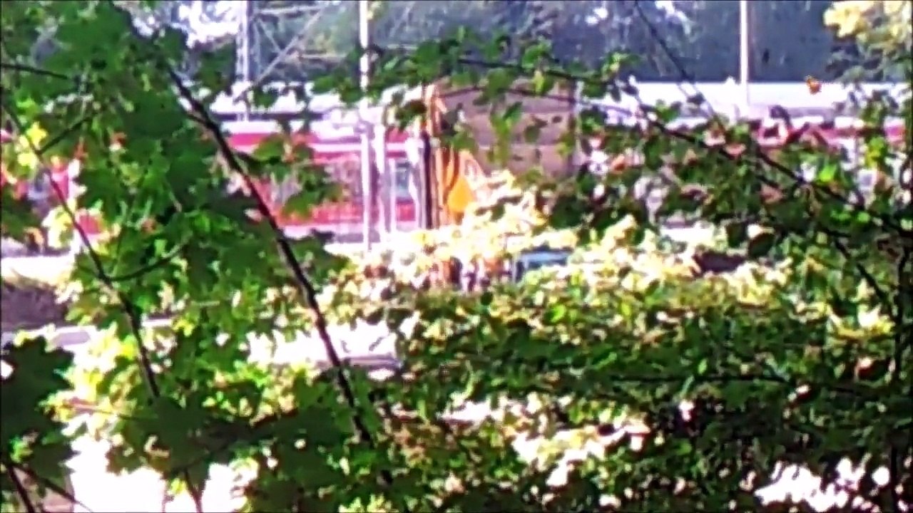 BestandAufnahme - Bahnhof Pinneberg Oktober 2015 /Full Film/Complete Movie/Ganzer Film