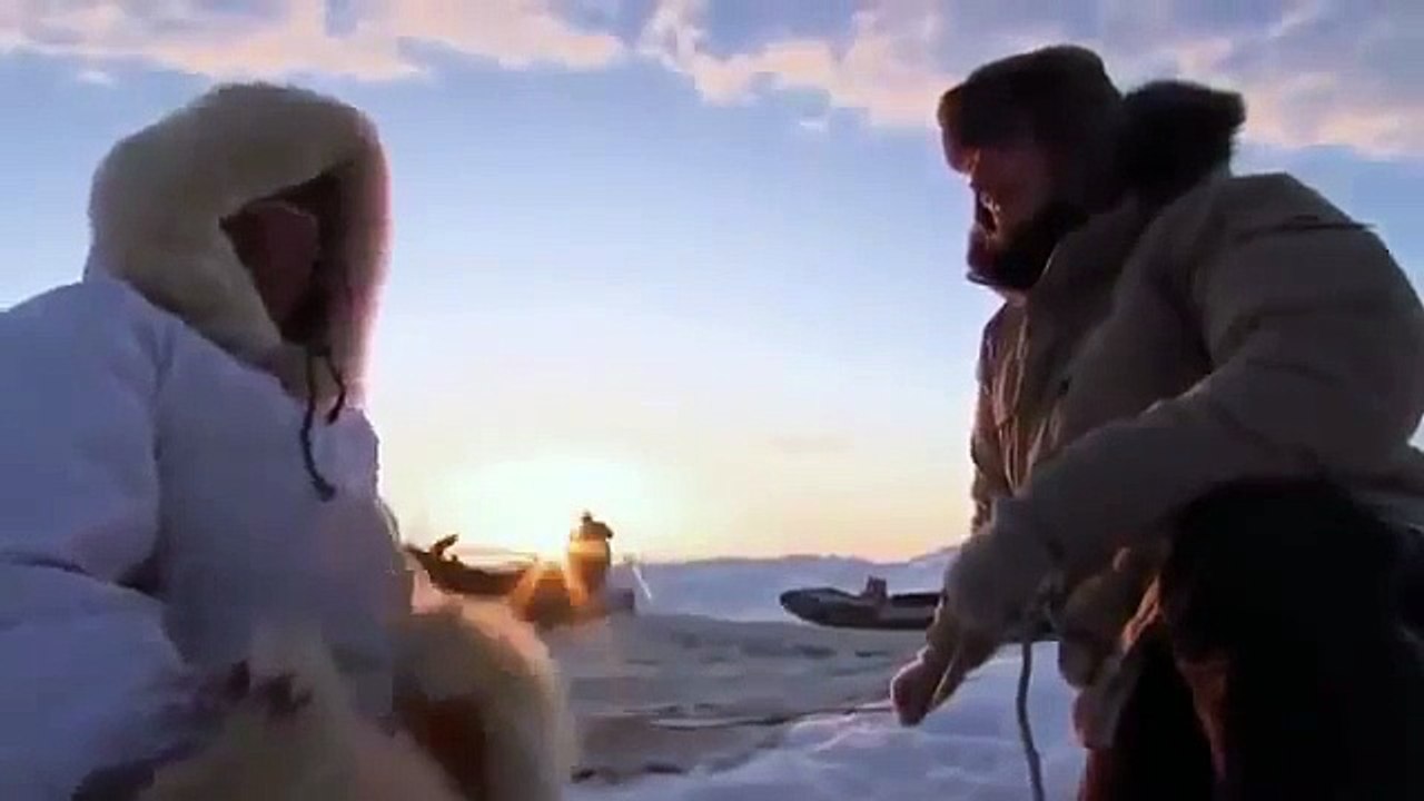 AMAZING of Alaska Discovery Wild Animals bitbytezen hd wildfire