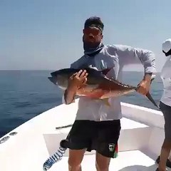 Pez vibrador JAJA Video divertido