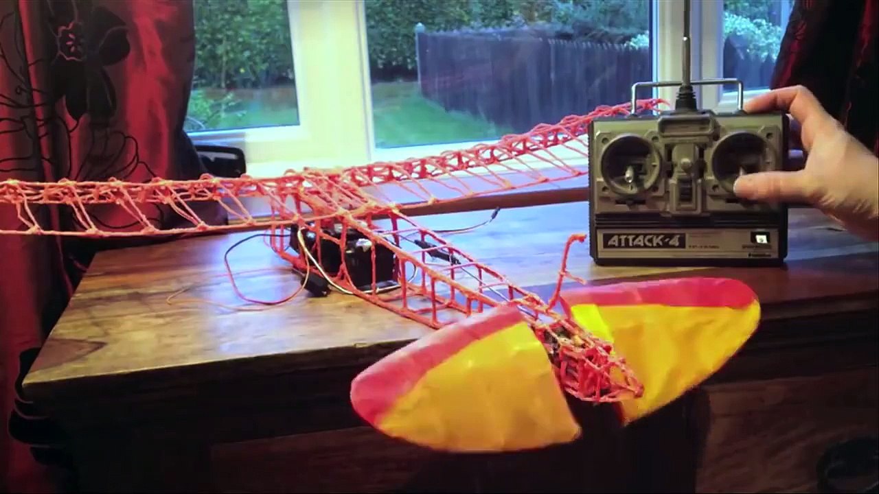 Amazing Funy Videos