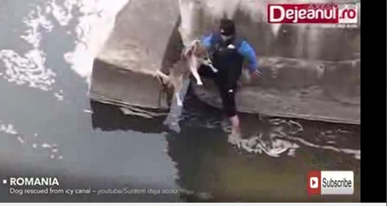 such a big Shocking-Video-that-made-the-whole-world-to-cry OMG