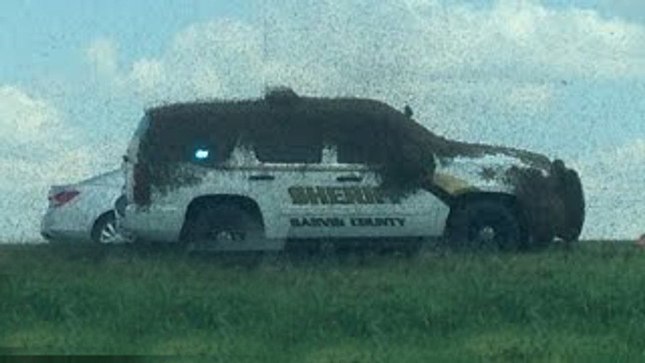 Watch This Cop Car Become Engulfed In Bees Swarms Unleashed On Oklahoma High