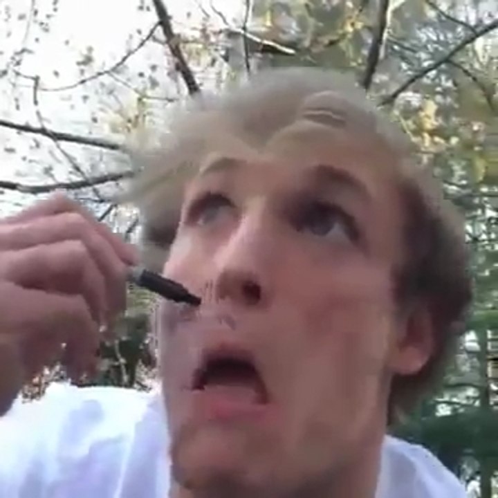 Потому что кошка всегда падает на лапы
