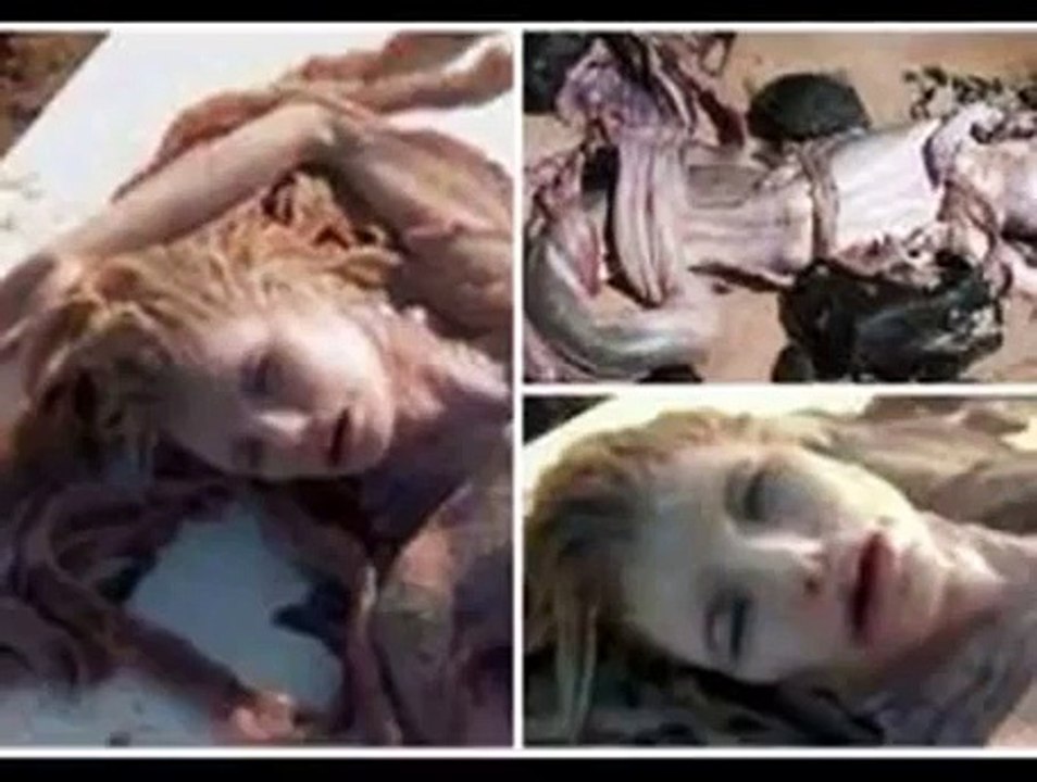 Real Mermaid found dead in Mexico (7/8/2014)