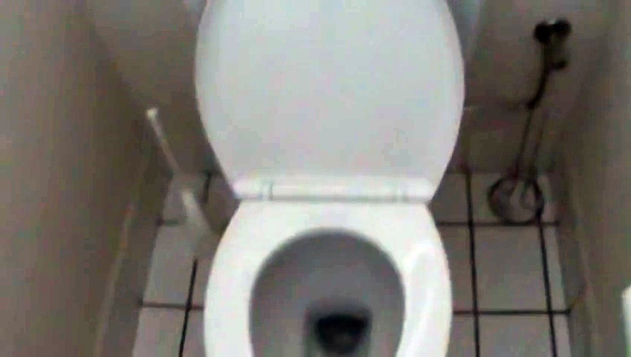 How To Flush a Toilet