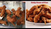 Funny Dog Lookalikes (Dog Look alike compilation) DDOF