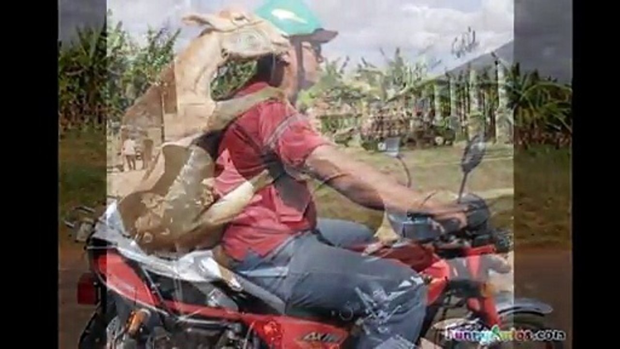 Funny Motorcycle Fail Compilation (Sexy Biker Babes) DDOF