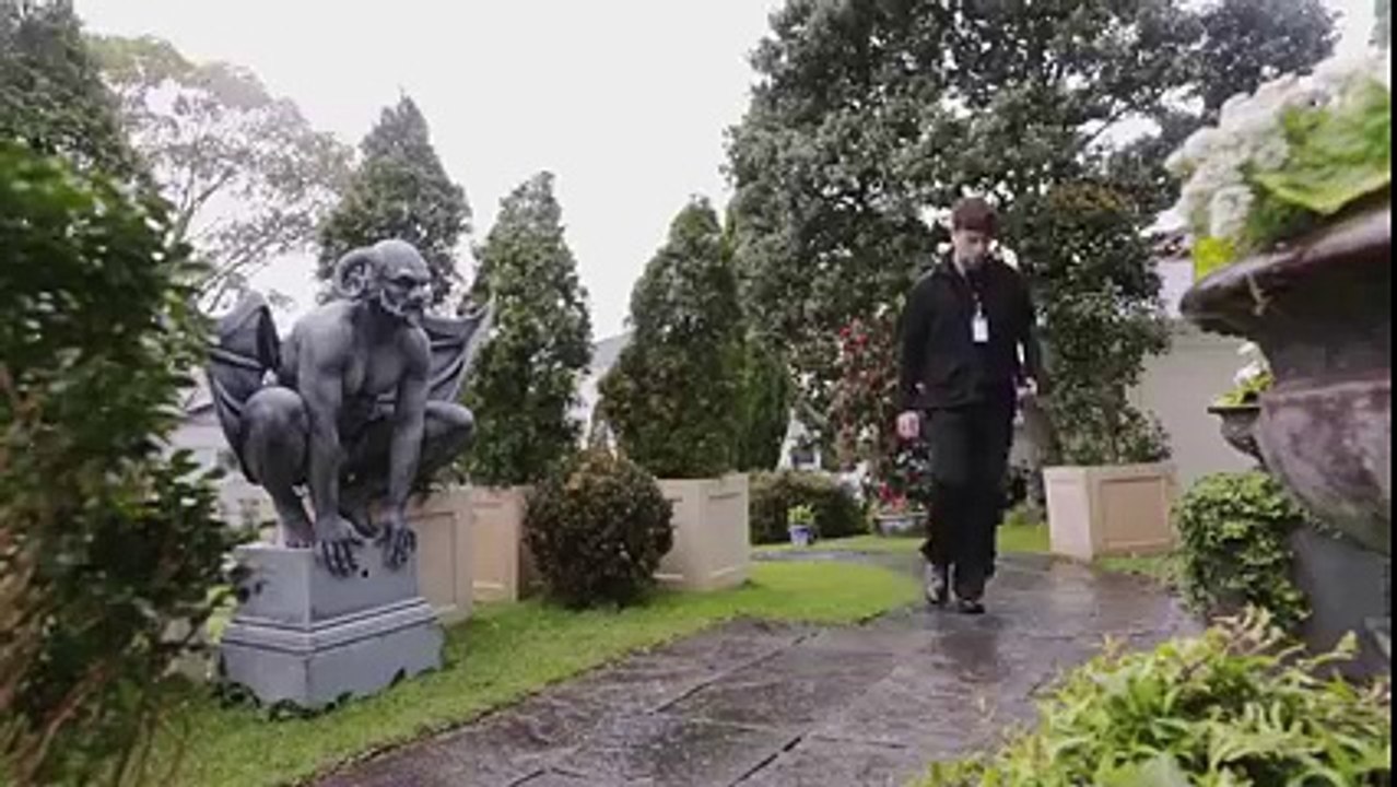 Very Funny Videos
