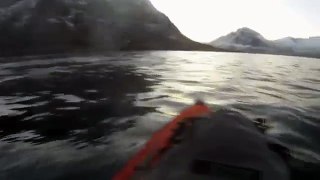 Kayaker has near miss with a whale