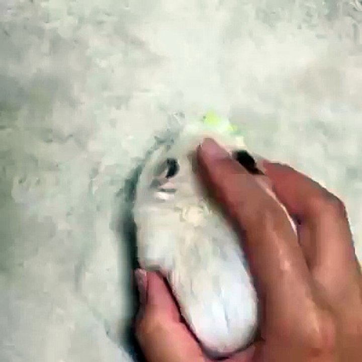 The Cutest Mouse In The World
