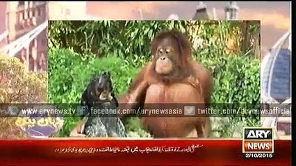 Jahan Bean  2 Oct 2015