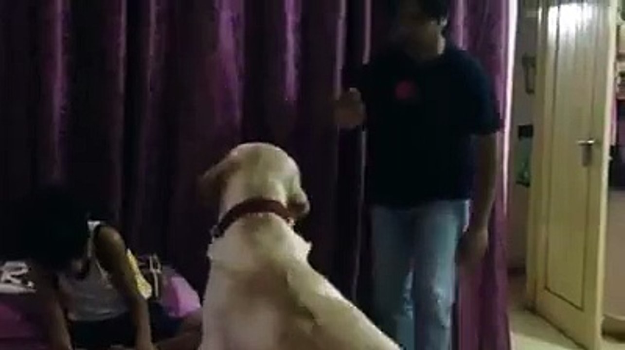 Intersting video of a kids