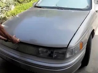 Animaux cachés dans la voiture!