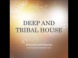 Deep and Tribal House Demo 2