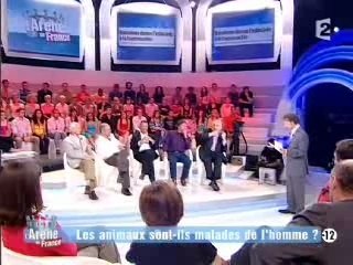 L'arène de France - La corrida 4