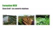 Formation Steve Groff - Couvert végétaux - part 3 - Ratio C/N - transition compost vers couverts vivants