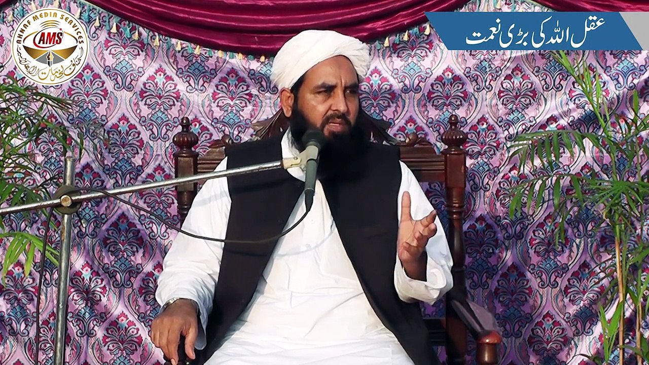 Aqal Allah Tala Ki Bari Nimat