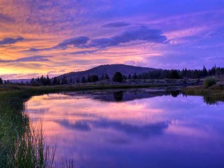 ELİF KAYA-KARANLIK DÜNYAM