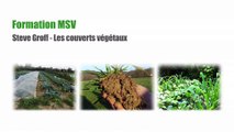 Formation Steve Groff - Couvert végétaux - part 4 - Culture de courges en semis direct