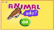 Animal Alphabet, ABC Flash Cards, Animal Sounds Game for Toddlers, Kids, Children