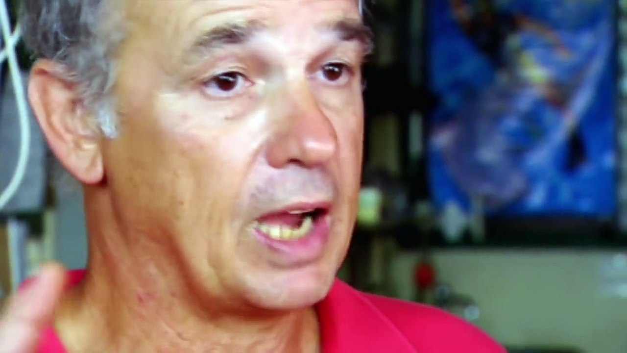 Naked Science - Shark Attacks