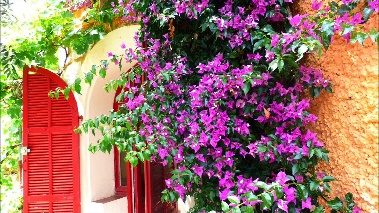 CHAMBRE D HOTE NICE VILLA BENNECOURT