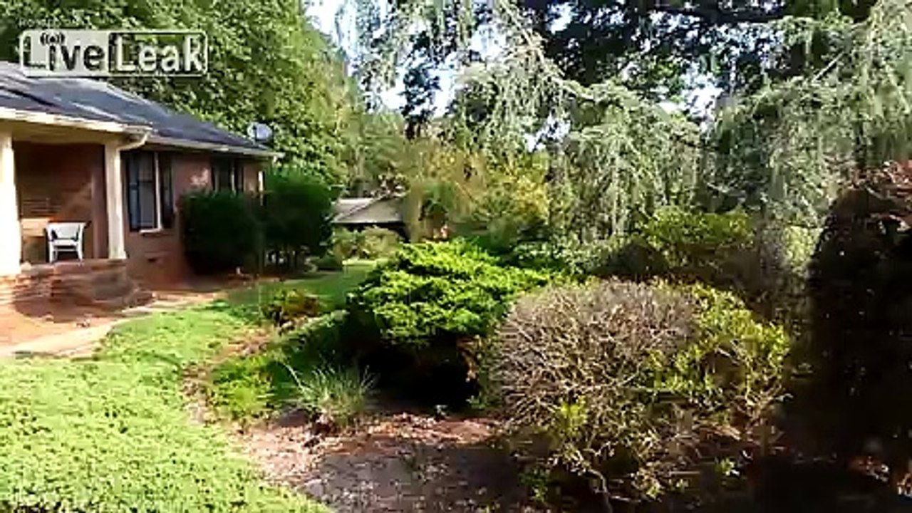 A Yard Say. Its short.