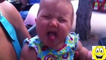 Babies Eating Lemons for First Time Compilation, Funny Videos