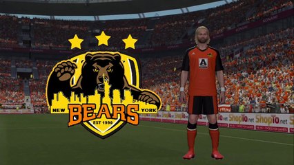 Goals of the Season The Final Chapter. Mid November