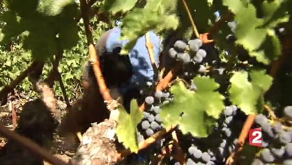 Le succès d'un vigneron français dans la Sonoma Valley en Californie.