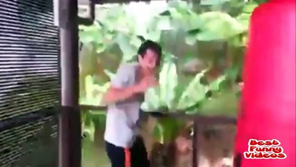 Funny Videos 2015 - Funny road accidents - Funny People - Funny Clips - Epic Funny Videos 2015