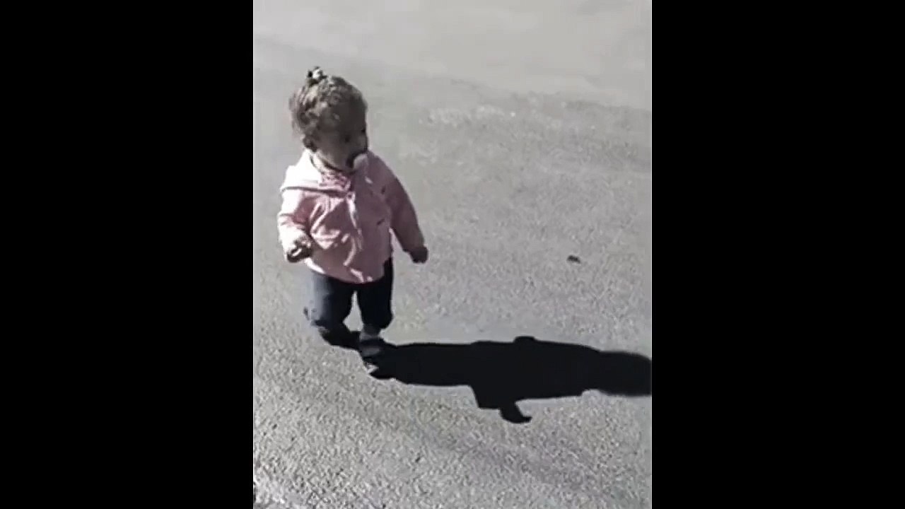 whatsapp funny baby videos 2016 baby girl scared of her own shadow video clip whatsapp | new funny clip