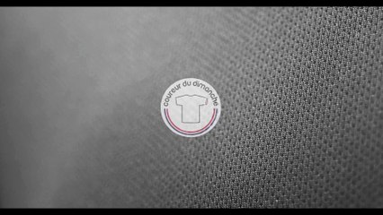 Présentation Tee-shirt Le Lyonnais