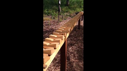 Impressive long xylophone plays Bach song without a player