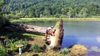 ☺ America's Funniest Home Videos Part 281 (NEW!)