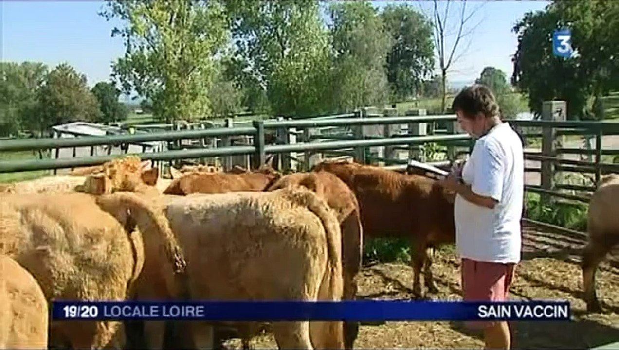 France 3 Loire - jeudi 1er octobre