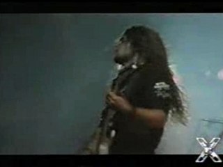 Sepultura - Desperate Cry (Live)