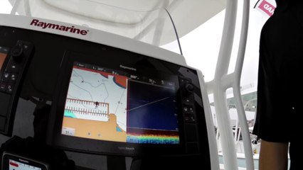 Raymarine Demo